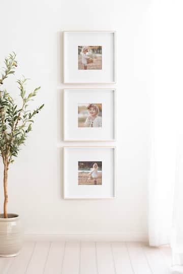 Kate and Laurel Gibson 16" x 16" Photo Frames 8" x 8" with Mat